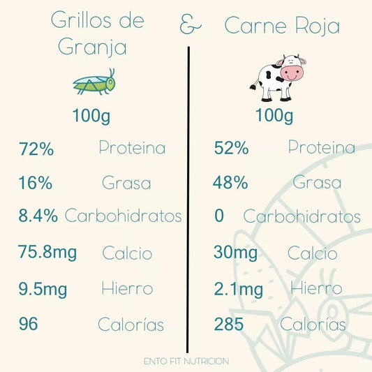 Carne Roja vs. Grillos: ¿Cuál es Mejor para Ti y el Planeta?